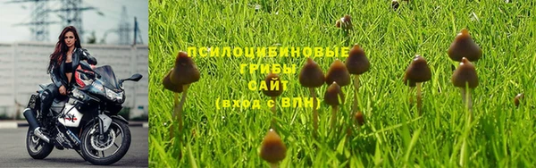 метамфетамин Вяземский