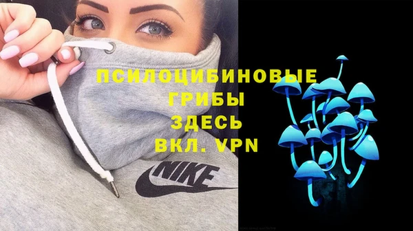 apvp Вязьма