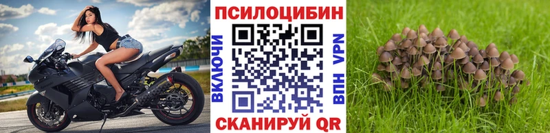 купить закладку  Петровск-Забайкальский  Галлюциногенные грибы ЛСД 